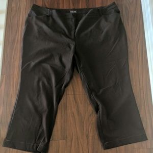 Brown dress pants